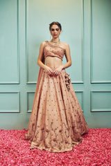 Delicate - Sammohi By Moksha & Hiral