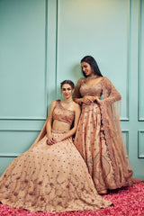 Delicate - Sammohi By Moksha & Hiral