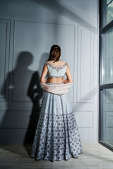 Steel grey crystals lehenga set