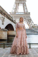 Blush Pink Crystals Lehenga Set