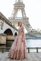 Blush Pink Crystals Lehenga Set