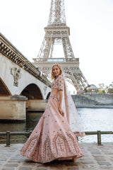 Blush Pink Crystals Lehenga Set