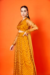 Mustard Chevron Anarkali