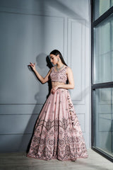 Blush pink crystals lehenga set