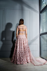 Blush pink chintz 3D floral lehenga set