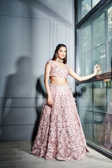 Blush pink chintz 3D floral lehenga set