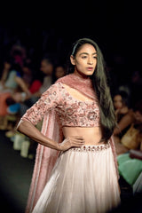 Blush Pink & Ash rose Lehenga set