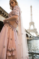 Blush Pink Crystals Lehenga Set