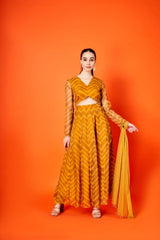 Mustard Chevron Anarkali