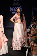 Blush Pink & Ash rose Lehenga set