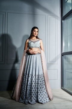 Steel grey crystals lehenga set